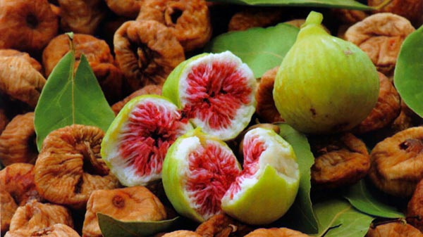 Figs