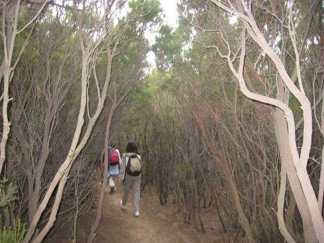 Activities in Loparu