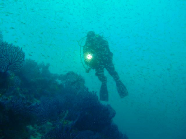 Activities in Loparu